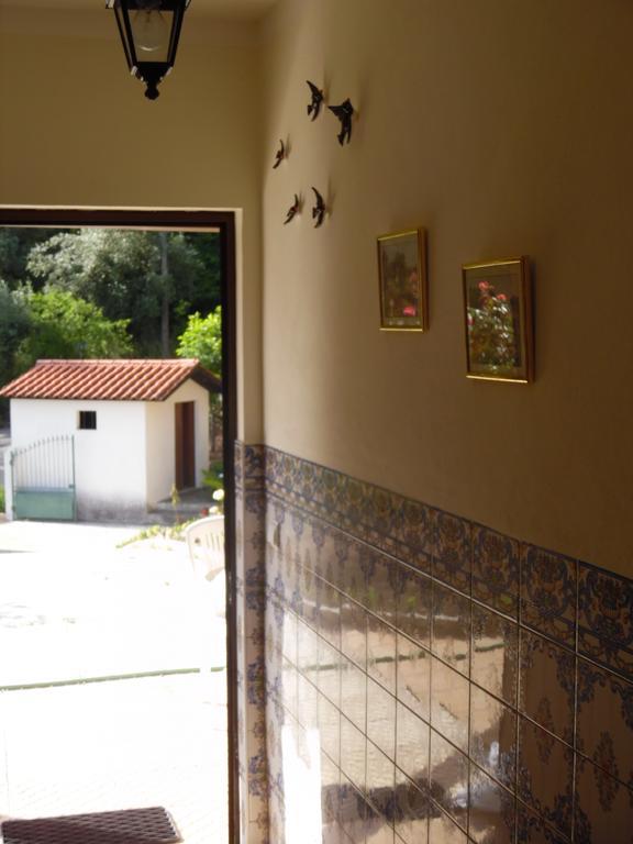 Holiday Home Mortagua Vila Boa  Εξωτερικό φωτογραφία